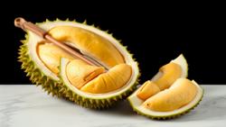 Bagaimana Memilih Durian yang Sempurna?